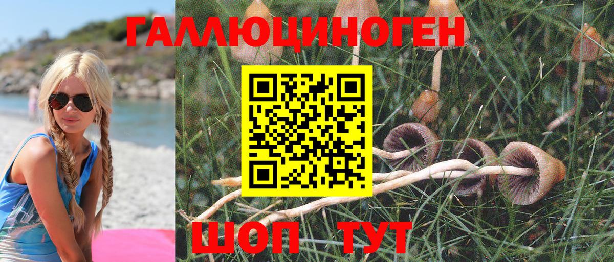 Галлюциногенные грибы Magic Shrooms Улан-Удэ